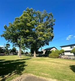 群馬県邑楽郡邑楽町大字新中野
