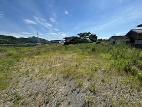 徳島県鳴門市大津町大代