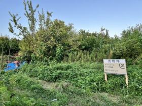 茨城県つくば市中内