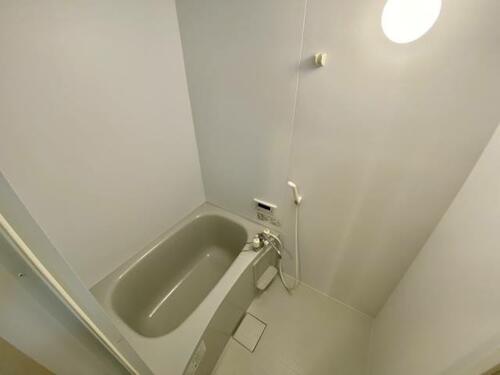 フォレスト5_その他_2