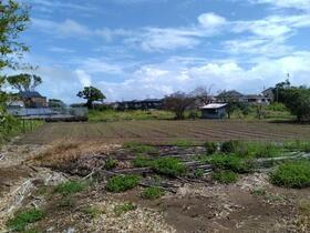 宮崎県宮崎市佐土原町下田島