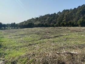 長崎県大村市東大村２丁目