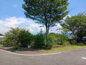 熊本県阿蘇市一の宮町宮地