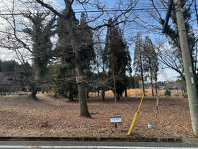 熊本県阿蘇市一の宮町宮地