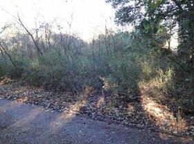 茨城県石岡市下林