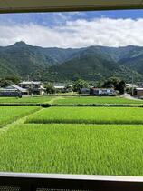 愛媛県四国中央市土居町野田（賃貸アパート3LDK・2階・64.80㎡） その14