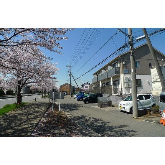 画像7:春は建物前の桜並木がとってもキレイです！