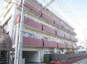 サンライズ蓮根