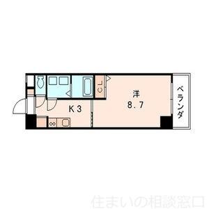 愛知県岡崎市橋目町字阿知賀(賃貸マンション1K・3階・30.00㎡)の写真 その2