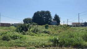 北海道河東郡音更町柳町北区