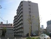 札幌市豊平区豊平六条１０丁目 9階建 築30年のイメージ