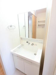 画像6:シャワーヘッド付き三面鏡洗面台です