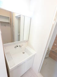 画像6:シャワーヘッド付き三面鏡洗面台です