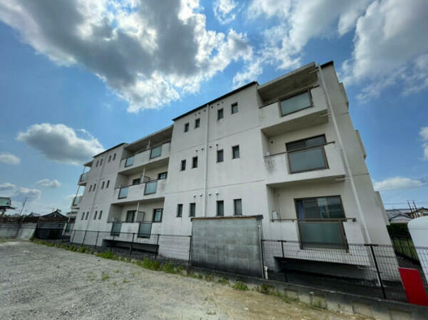 静岡県浜松市中央区安新町(賃貸マンション2DK・2階・55.00㎡)の写真 その1