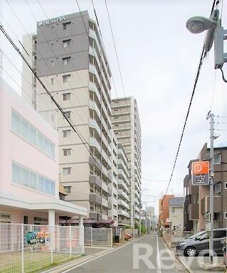 福岡県福岡市中央区大宮１丁目(賃貸マンション1LDK・7階・33.22㎡)の写真 その1