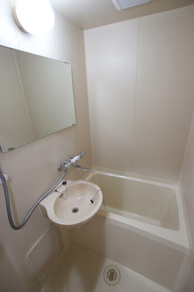 画像9:大きな鏡のあるバスルーム
