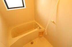 画像5:A201　浴室