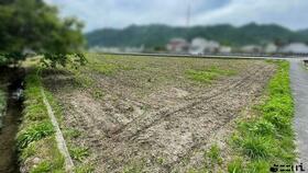 兵庫県たつの市新宮町井野原