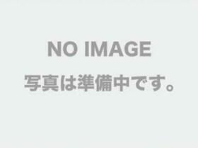 東京都調布市国領町１丁目（賃貸アパート2LDK・1階・49.11㎡） その3