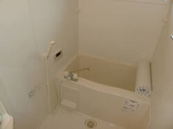 画像5:B202 浴室
