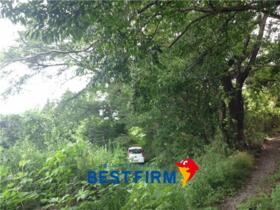 福島県郡山市田村町谷田川字宮ノ下