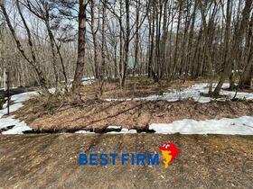 福島県耶麻郡猪苗代町大字蚕養字沼尻山甲