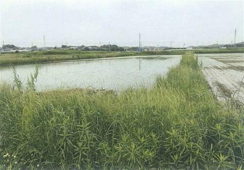 Land, Tokoname, Aichi