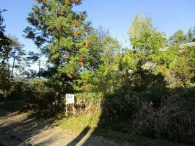 岐阜県高山市新宮町