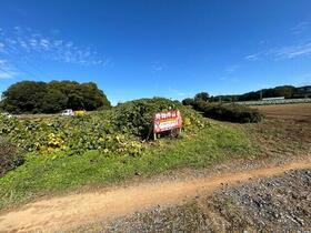 茨城県坂東市逆井