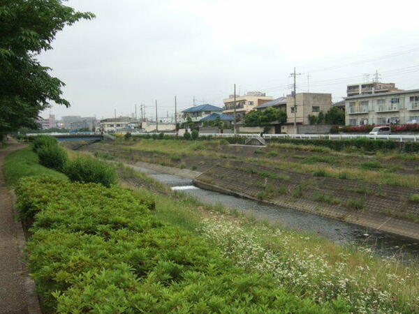 画像16:大栗川沿いの遊歩道は四季を感じられます！