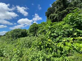 茨城県結城郡八千代町大字若