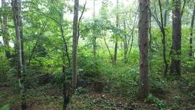 長野県安曇野市穂高有明