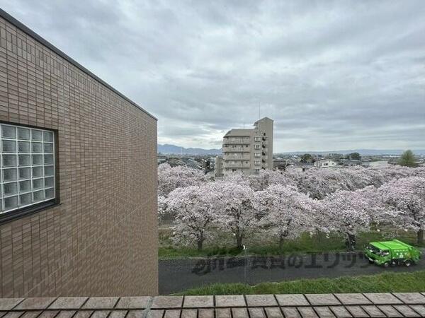 リーガパレス 510｜奈良県橿原市内膳町３丁目(賃貸マンション1K・5階・35.03㎡)の写真 その15