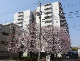 ネオコーポラス島ノ内Ｂ棟