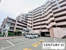 アンピール教育大前?