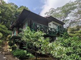 静岡県田方郡函南町畑