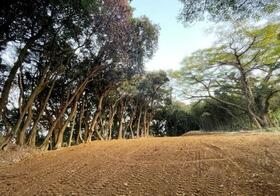 福岡県糸島市曽根