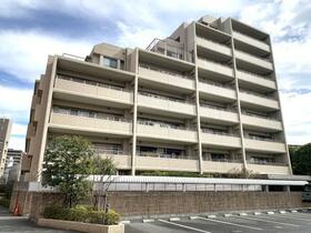 アイランド帯山けやき通り