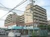 新烏丸日光ハイツ 1階 築39年8ヶ月の賃貸物件