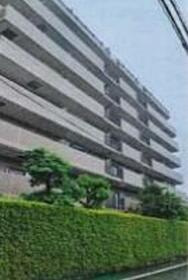 ハイネス新小岩親水公園