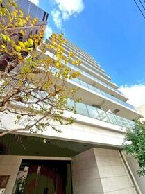 ミオカステーロ入谷