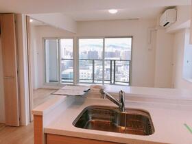 クリーンリバーフィネス菊水リヴェール