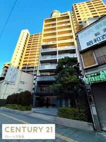 東京ビューマークス