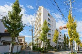 アイビハイツ柴又　７階