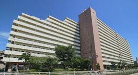 葛西住宅　１１階