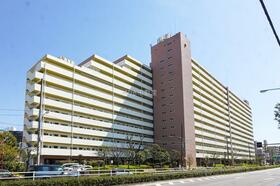 葛西住宅　１１階