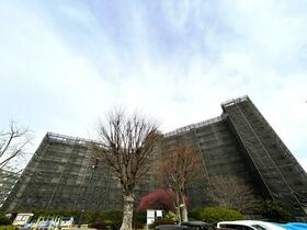 市ドリームハイツ３号棟