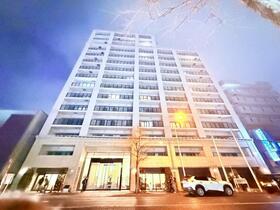 円山ザ・レジデンス