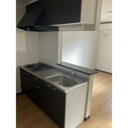 ビクトリア_その他_1