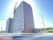 ＣＯＬＡＳ　ＭＩＦＵＮＥ　Ｅａｓｔのイメージ